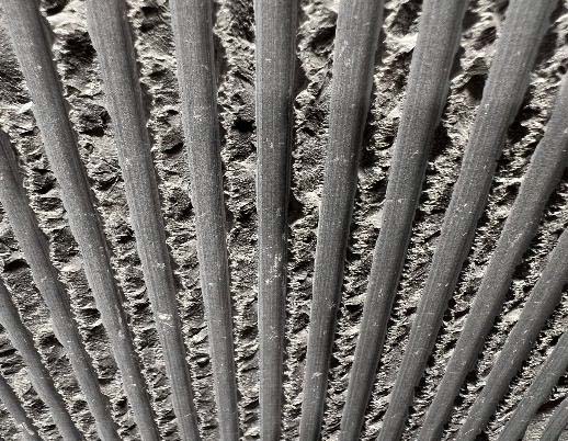 リガートフィニッシュ